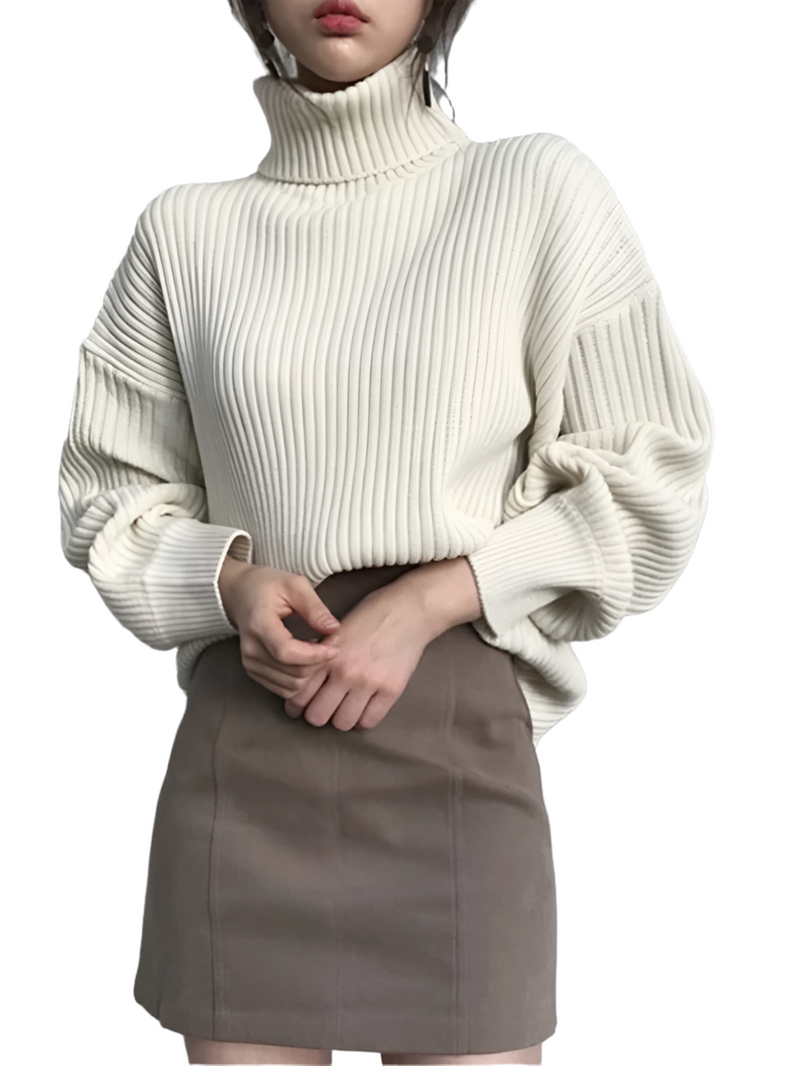 Women Knit Turtleneck Jumper