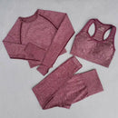 Energy Seamless Sport Suit