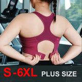 WOMEN’S PADDED SPORTS BRA