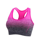 Women’s Sports Bra High Stretch Breathable Seamless Crop Bra Gradient Sport Bra