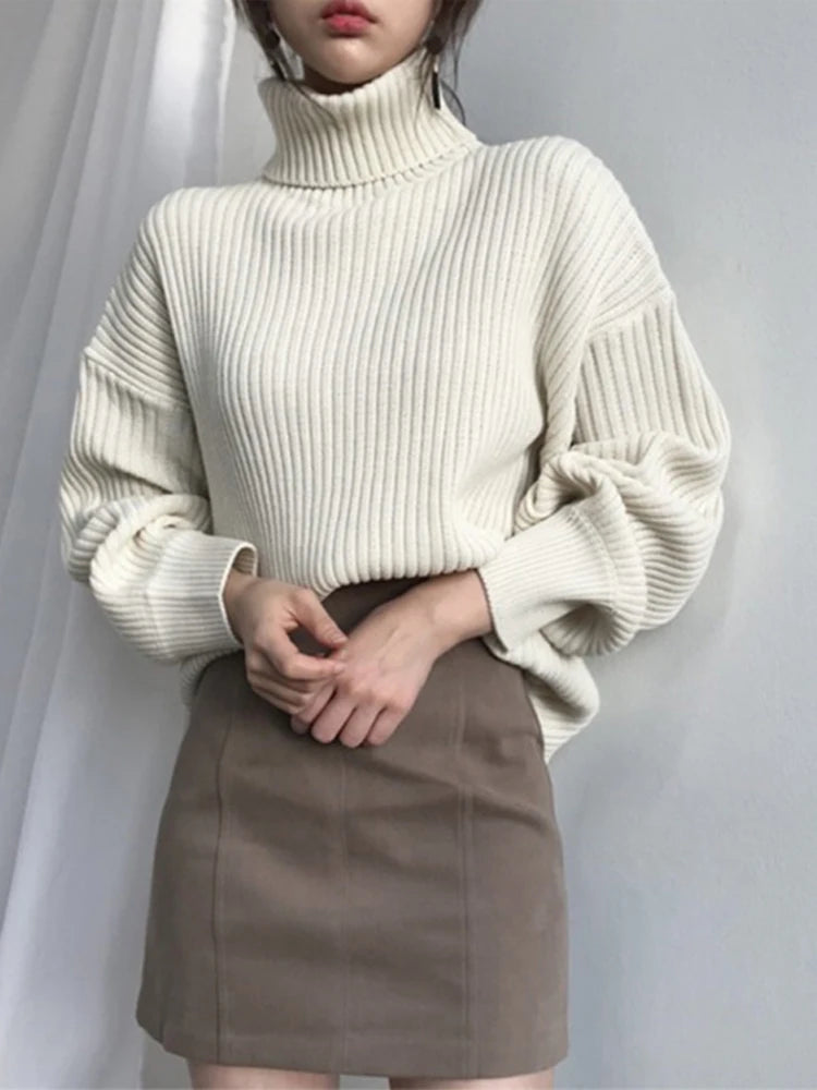 Women Knit Turtleneck Jumper