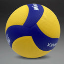 Game training Volleyball