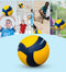 Game training Volleyball