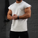 Men's Workout Fitness Sports T-Shirts