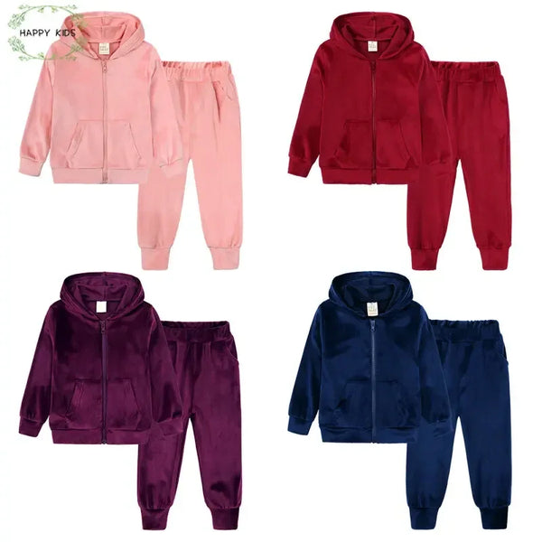 Toddler Zipper Up Hoodie Jackets + Pants Set Fashion Winter Kids 2Pieces Tracksuits Outfits