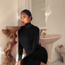 Women’s Long Sleeve High Collar Bodycon Long Dress